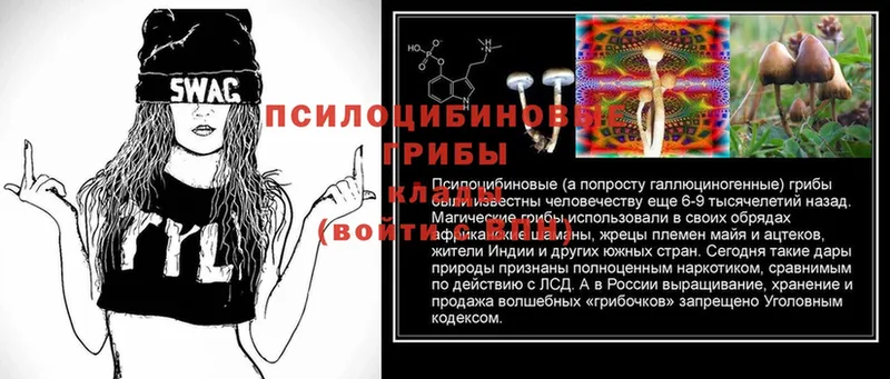 Псилоцибиновые грибы MAGIC MUSHROOMS  Боровичи 