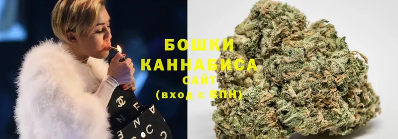 Конопля White Widow  Боровичи 